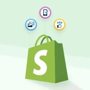 Third-Party Plugin Development (WordPress, Shopify)